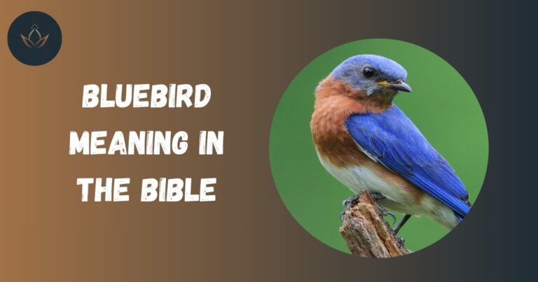 Bluebird Meaning in Bible