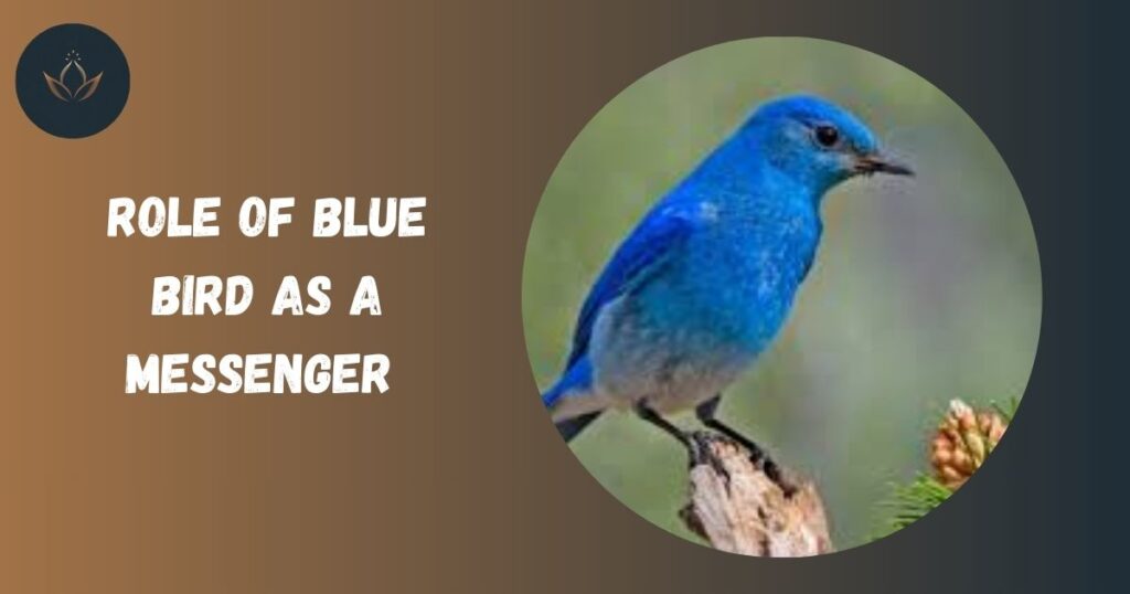 Role of Blue Bird as a Messenger 