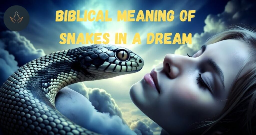 Snakes in a Dream