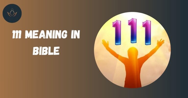 111 Meaning in Bible
