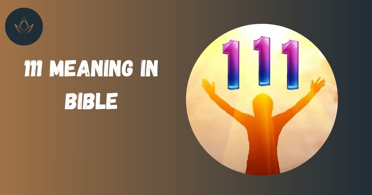 111 Meaning in Bible