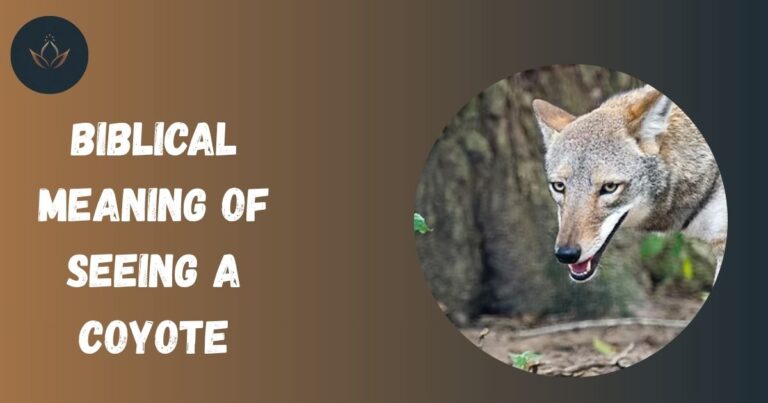 Biblical Meaning of Seeing a Coyote