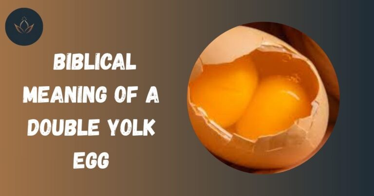 Biblical Meaning of a Double Yolk Egg