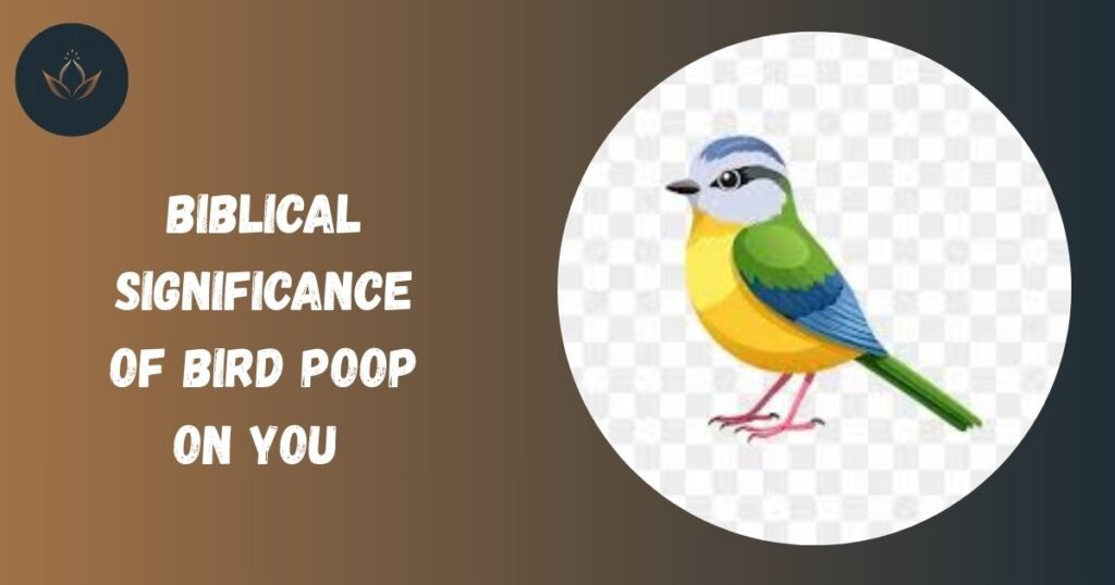 Biblical Significance of Bird Poop on You