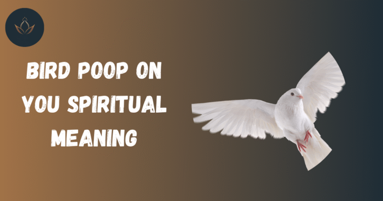 Bird Poop on You Spiritual Meaning
