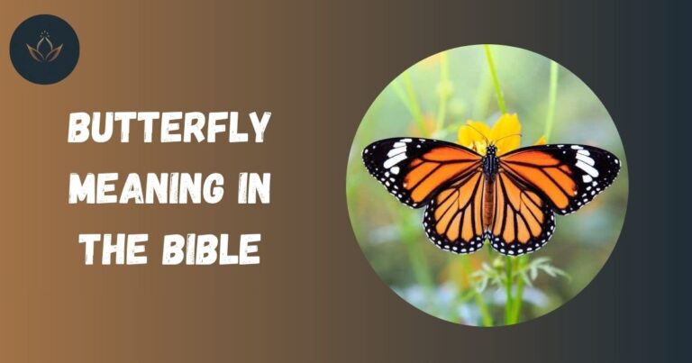 Butterfly Meaning in the Bible
