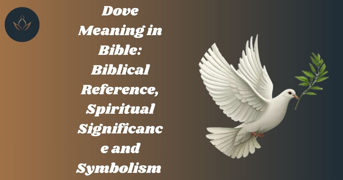 Dove Meaning in Bible