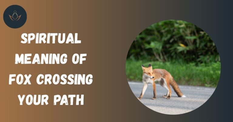 Spiritual Meaning of Fox Crossing Your Path