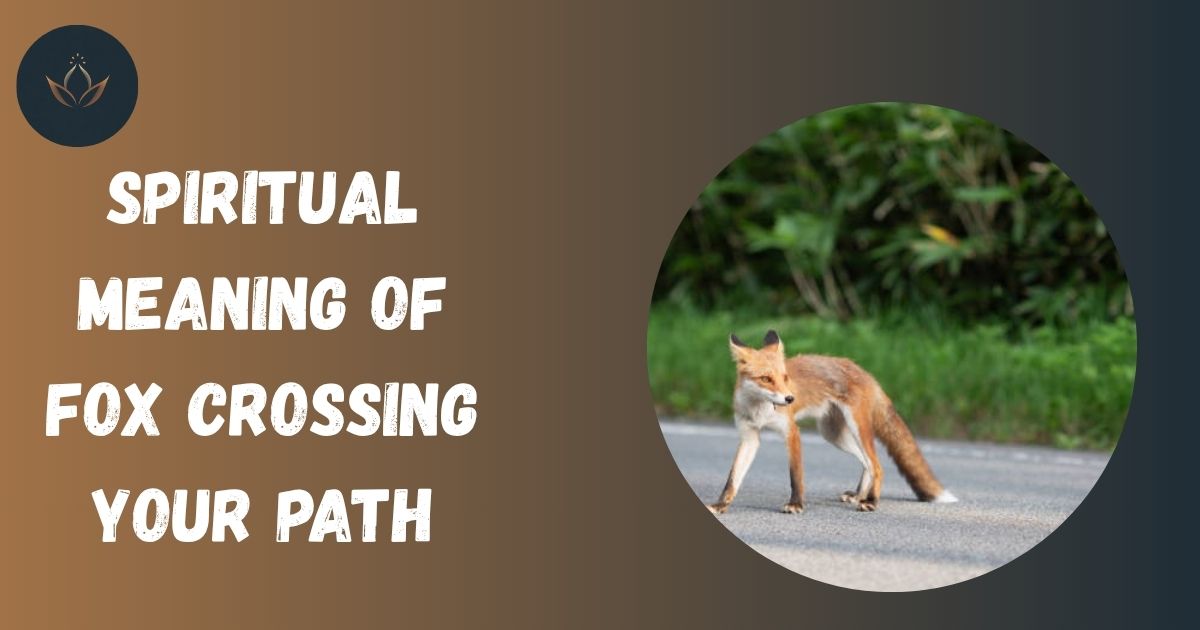 Spiritual Meaning of Fox Crossing Your Path