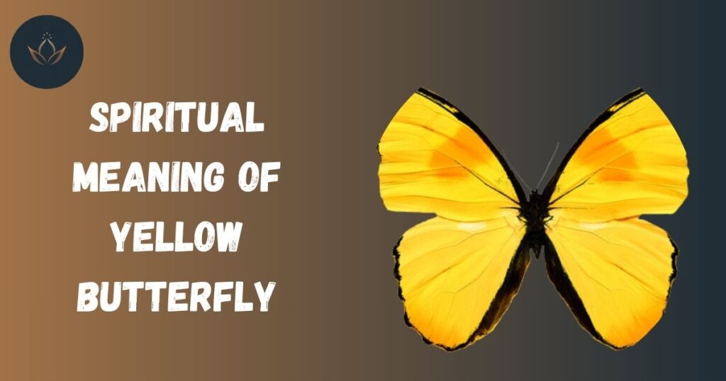 Spiritual Meaning of Yellow Butterfly