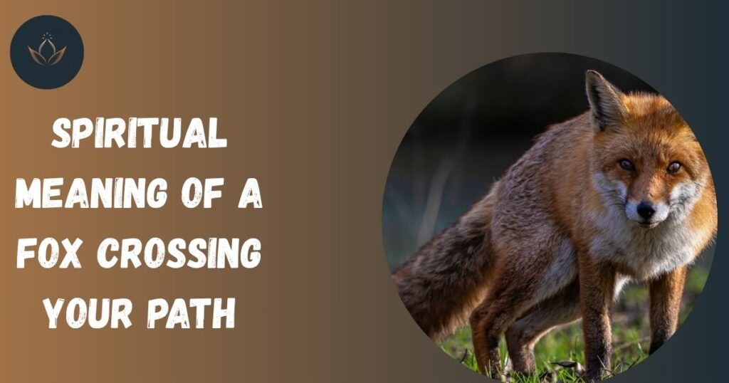 Spiritual Meaning of a Fox Crossing Your Path