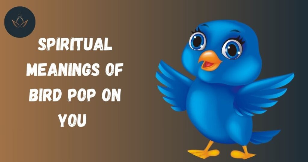 Spiritual Meanings of Bird Pop on You