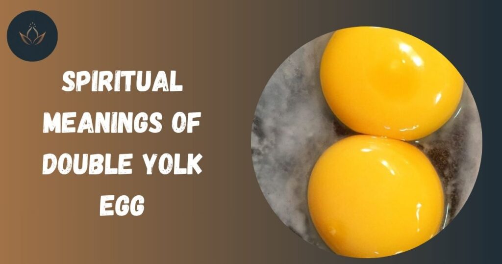 Spiritual Meanings of Double Yolk Egg