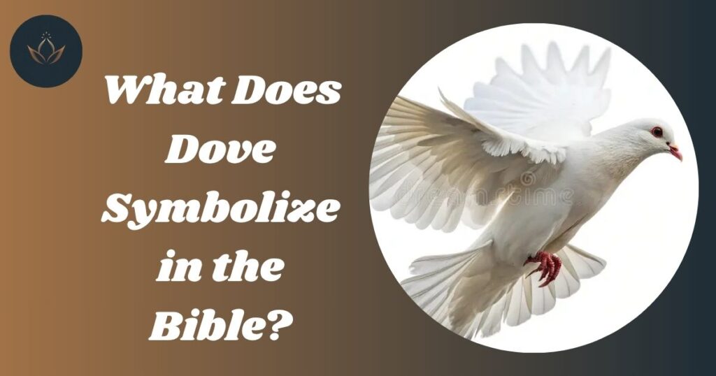 What Does Dove Symbolize in the Bible