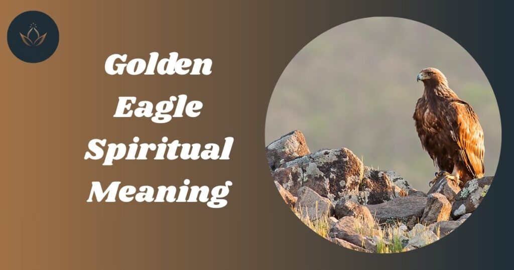 Golden Eagle Spiritual Meaning