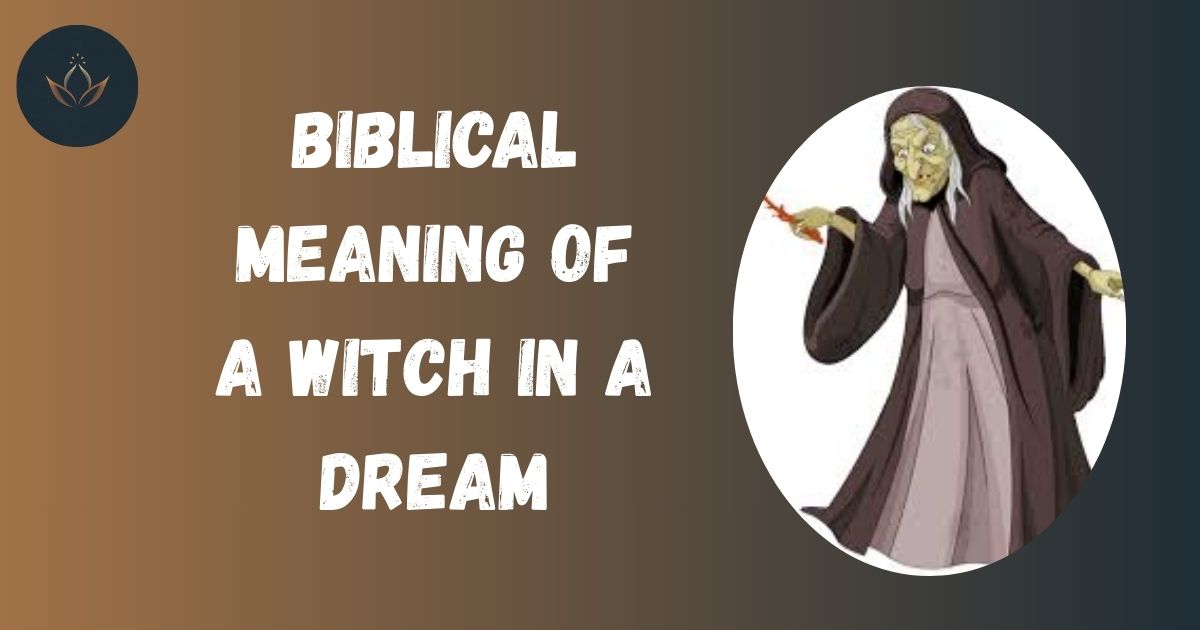 Biblical Meaning of a Witch in a Dream